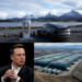 El proyecto de Elon Musk en la Patagonia: cargadores de vehículos eléctricos hasta Ushuaia y un gran centro tecnológico en Neuquén