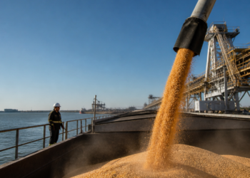 El agro liquidó 3.007 millones de dólares en junio, pero los ingresos de divisas permanecen por debajo del año anterior