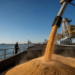 El agro liquidó 3.007 millones de dólares en junio, pero los ingresos de divisas permanecen por debajo del año anterior