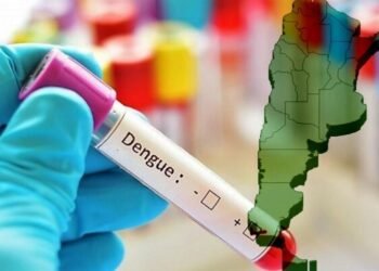 Se informa un nuevo caso de dengue en Buenos Aires