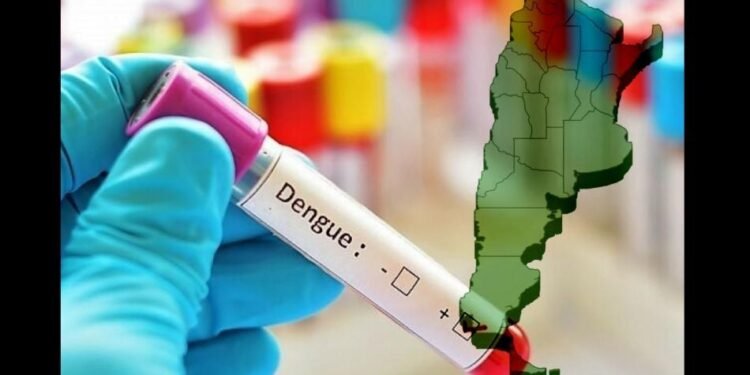 Se informa un nuevo caso de dengue en Buenos Aires