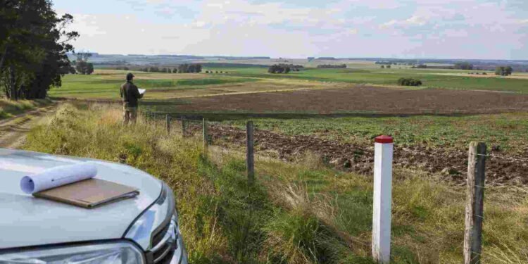Ley de Tierras: el Gobierno propone un nuevo límite para la adquisición extranjera