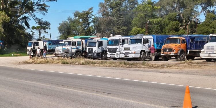 Más de 400 camiones demorados en Bahía Blanca por un conflicto salarial que afecta la logística agroexportadora