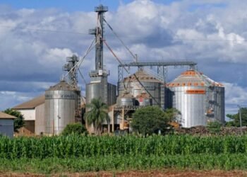 Biodiésel: Argentina busca recuperar exportaciones y advierte por las nuevas exigencias de Europa
