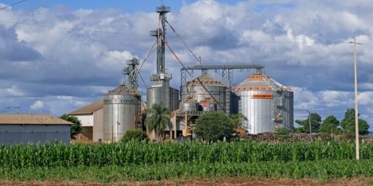 Biodiésel: Argentina busca recuperar exportaciones y advierte por las nuevas exigencias de Europa