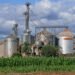 Biodiésel: Argentina busca recuperar exportaciones y advierte por las nuevas exigencias de Europa