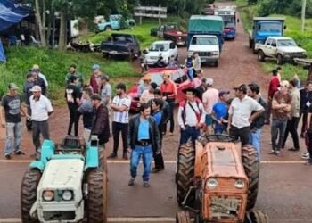 Productores yerbateros de Misiones marcharán a Puerto Iguazú durante la visita de Milei