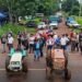 Productores yerbateros de Misiones marcharán a Puerto Iguazú durante la visita de Milei