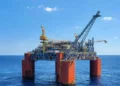 Las empresas del proyecto Sea Lion aseguraron que las medidas de Milei no afectarán su desarrollo