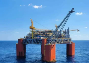 Las empresas del proyecto Sea Lion aseguraron que las medidas de Milei no afectarán su desarrollo