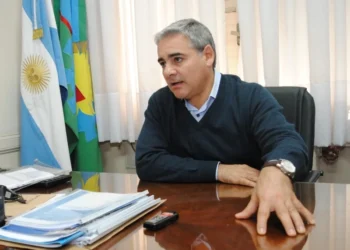Proponen penas de hasta 15 años para el tráfico y desvío ilegal de armas y municiones