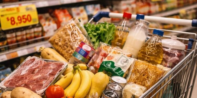 La Patagonia lideró el costo de la canasta de alimentos: cinco provincias superaron el millón de pesos
